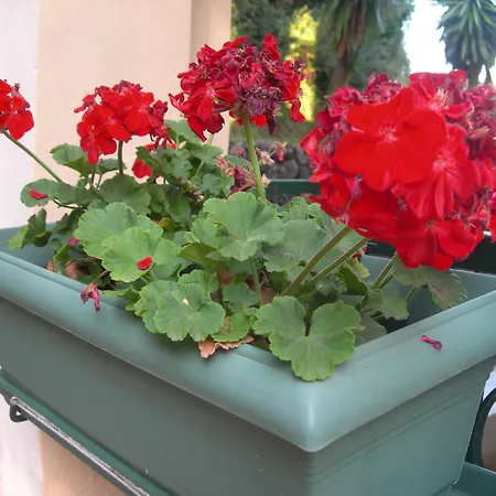 Hotel apartamentowy Karmar Dassia (Corfu)